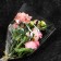 Package for flowers, a cone for gladiolus, 14+52*80cm, transparent