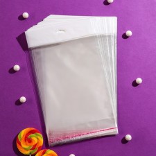 BOPP package with an adhesive valve, transparent 14 x 20/4 cm, euros, 25 μm