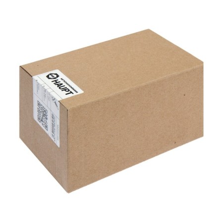 Roofing screws, Haupt 4.8x29 Ral9003, white 250 pcs-1