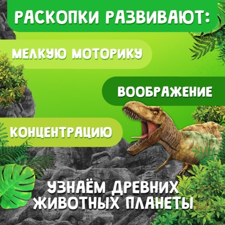 Set for excavations "era of dinosaurs"-4