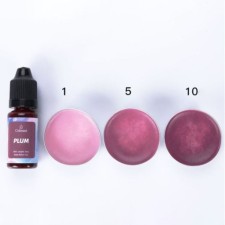 Paint (pigment) for wax 