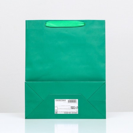 Laminated Green Packet, 26 x 32 x 12 cm-1