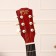 Acoustic guitar Music Life QD-H38Q-JP Sanbert, 6 string, 97 cm