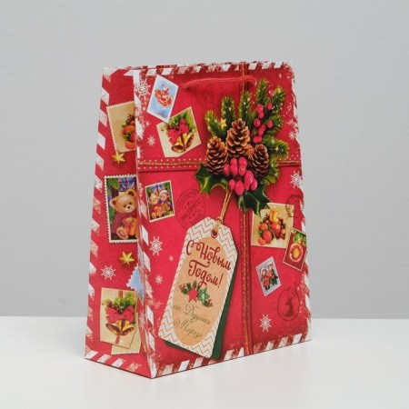 Package Laminated Vertical “Gift from Santa Claus”, MS 18 x 23 x 11.5 cm, New Year-2