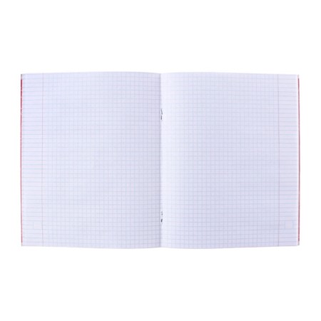 Substantial notebook Calligrata Superneeon, 48 sheets in the algebra cage, with reference material, covered cardboard, OFSET block-4