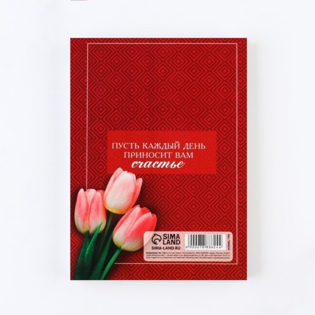 Diary "Teacher with gratitude", A5 format, 160 sheets, soft cover-12