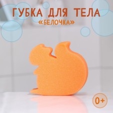Body sponge 