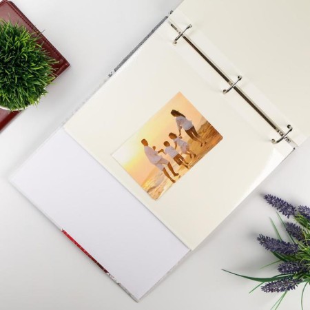 Photo album magnetic 23x28 cm 50 sheets "Children's.Malysh"-4