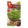 Microsiness seeds of arugula lace mixture