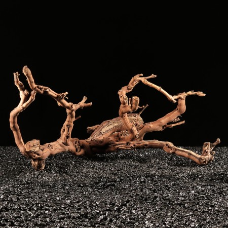 Drunk for the Aquarium "Vine Ginograd", 60 - 70 cm-3