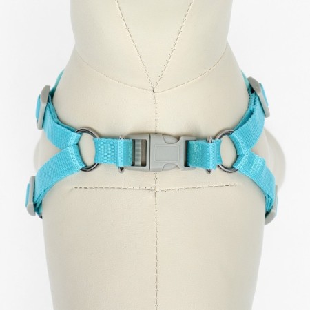 A set with a soft harness, fast-open, s, leash 140 cm, Osh 39-41 cm, og 44-48 cm, turquoise-6