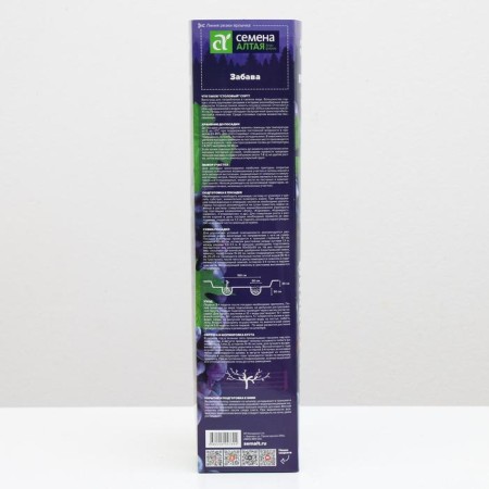 Grape seedling fun spring 2024, 1 pc.-1