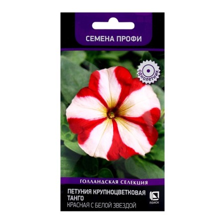Flowers of Petunia flowers large -flowered tango red with a white star, 15pcs