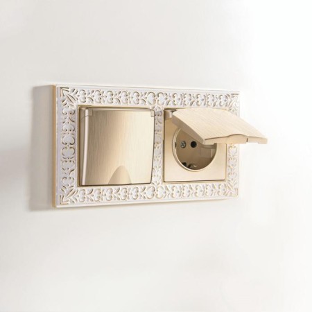 The socket is moisture. With ground. with defense. lid and curtains WL10-SKGSC-01-IP44, champagne color-2