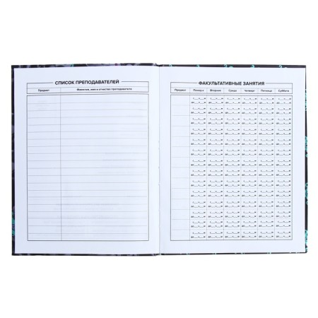 Universal Diary Grade 1-11, 48 sheets "Monster Call", integral cover, matte lamination, selective UV-fluid, congructor-5