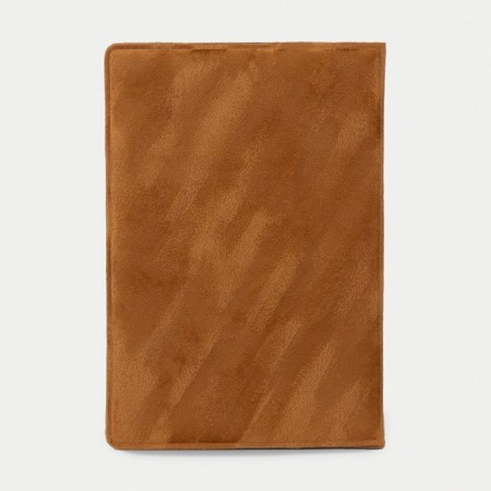 Cover for passport, color light brown-1
