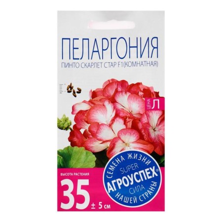 Flowers of Pinto Scarlet Star, F1, 4 pcs