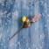 Decor "Winter Dreams" red yellow berries, 15 cm