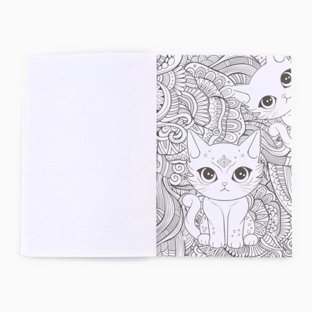 Frunker with coloring A5, 80 L "Anime Girls"-2