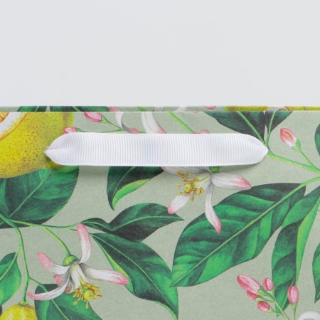 Package Gift Craft horizontal, packaging, “lemons”, m 30 x 26 x 9 cm-2