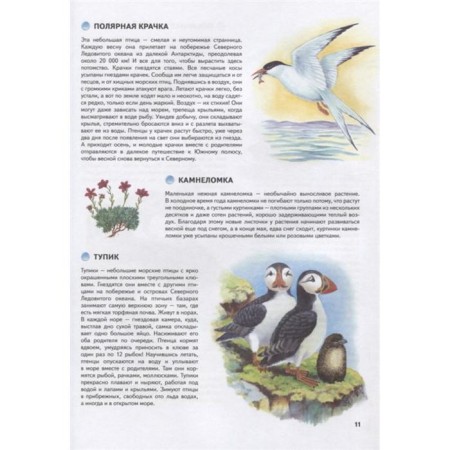 Nature of Russia. Illustrated Encyclopedia. Svechnikov V., Romanova T.-3