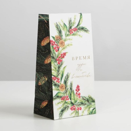 Package without pens "Time of Magic", 10 x 19.5 x 7 cm, New Year-1