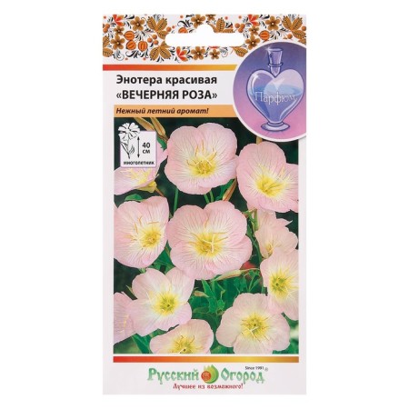 Enoter's flower seeds "Evening Rose", 210 pcs.