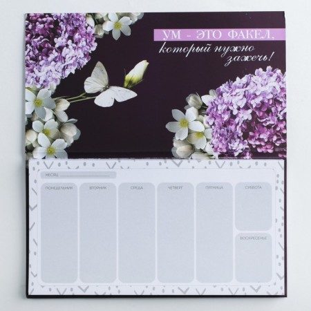 Gift set “For the best teacher”: A5 diary, 80 sheets, glider with tear -off sheets, 50 sheets-7