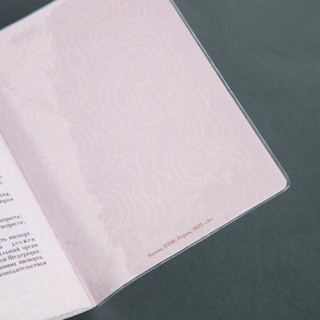 Set for a passport: a passport cover; 10 covers on passport pages, 2 covers for maps, transparent color-8