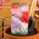 Flowers of Astra Harz mixture, o, 0.2 g