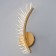 Bra "Wing" LED 12W 3000-6000k gold 40x12x10cm
