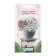 Flower seeds Alissum Sea good morning, 0.06 g
