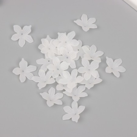 Beads for creativity plastic "Petunia White matte" set 40 pcs 2x2 cm