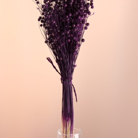 Set of dried flowers "Lenon-long", banch length 55-60 (+/- 6 cm), plum-1