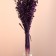 Set of dried flowers "Lenon-long", banch length 55-60 (+/- 6 cm), plum