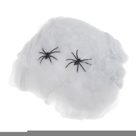Fun "Web and 2 Spider"