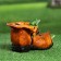 Figure pot "Boats with frogs" brown, 24x14x14cm
