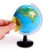 Developing set "Globe - study the animal world"