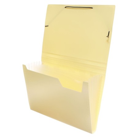 Folder Carder Calligrata watercolor 6 department. A4 plastic 0.7mm vanilla, black resident-1