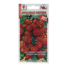 Flower seeds 