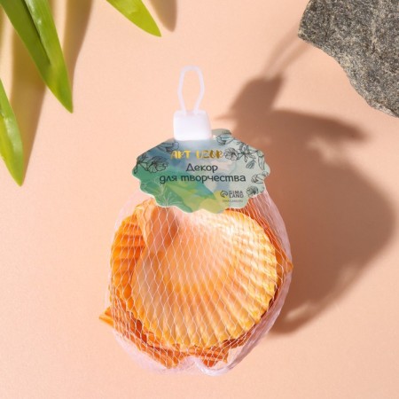 Treasurous decorative shells "red -haired" set of 100 grams-3