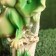 Garden figure "Frog on the bench" 7x13x19cm mix