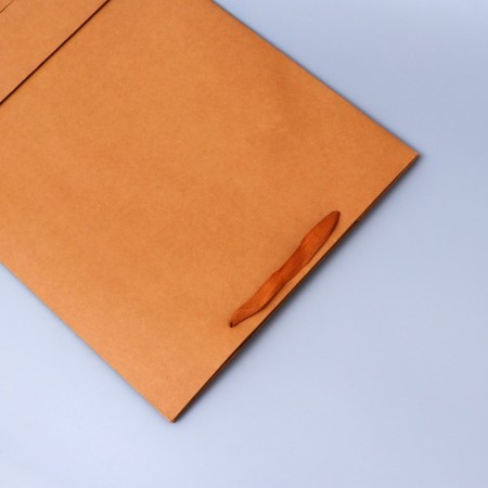 Craft Packet without print, 38 x 60 x 20 cm 210 g-2