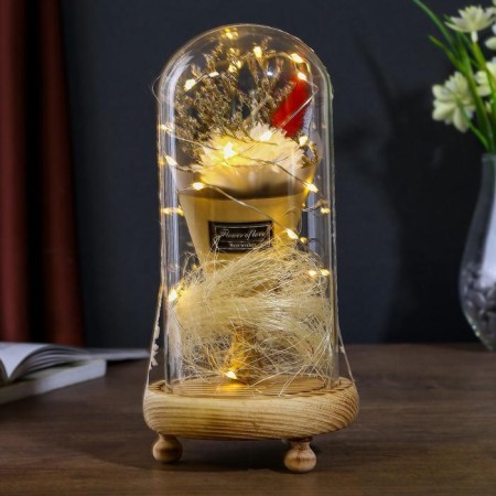 Nightlight "Astra Belaya" LED 3AAA 10x10x21 cm Risalux-1