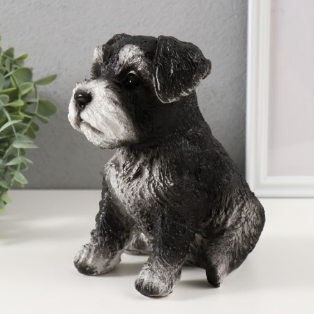 Piggy bank "Mittel puppy" height 17 cm, width 11.5 cm, length 16.5 cm black and white-4