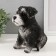 Piggy bank "Mittel puppy" height 17 cm, width 11.5 cm, length 16.5 cm black and white