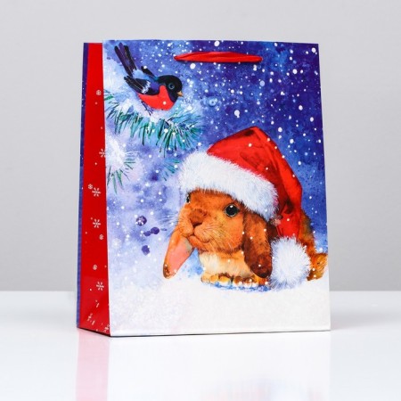 Gift package "Bunny in a hat", 26 x 32 x 12 cm