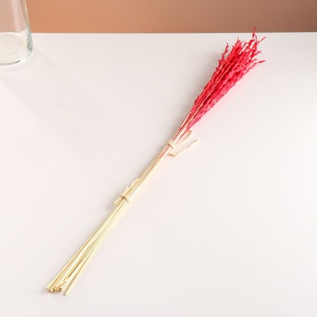 Set of dried flowers "Raigrace", banch 21 pcs, length 60 (+/- 6 cm), red-3