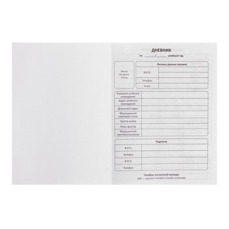 Universal diary for grades 1-11 "Rabbit with a wreath", solid cover, glossy lamination, cheat sheet, 48 sheets-3