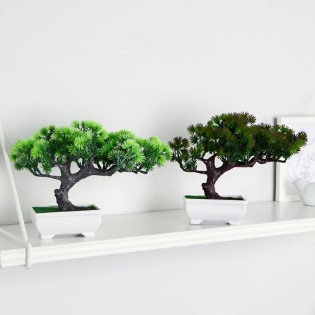 Bonsai in the pot "coniferous tree" 10.5x18 cm mix-2